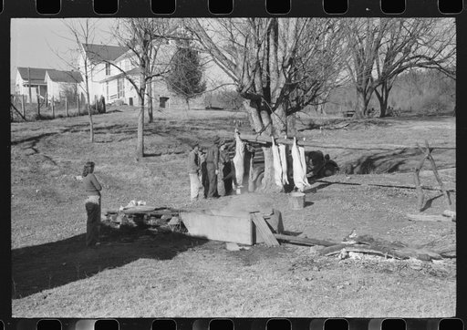 Untitled photo, possibly related to: Hog killing. Near Luray, Virginia