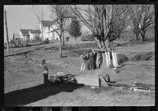 Hog killing. Near Luray, Virginia