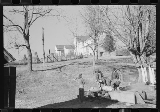 Untitled photo, possibly related to: Hog killing. Near Luray, Virginia