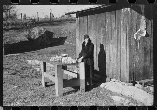 Untitled photo, possibly related to: Hog killing. Near Luray, Virginia