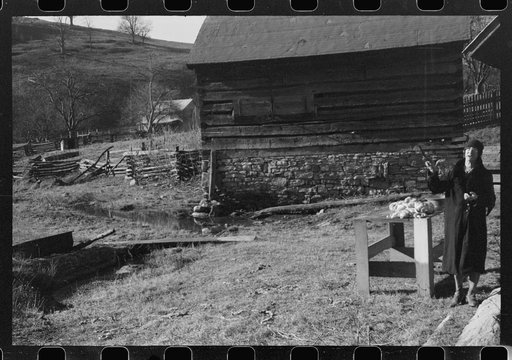 Untitled photo, possibly related to: Hog killing. Near Luray, Virginia