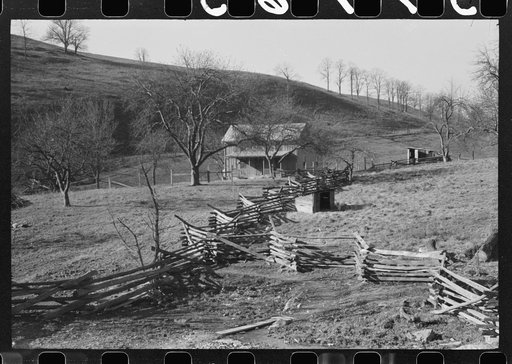 Untitled photo, possibly related to: Hog killing. Near Luray, Virginia