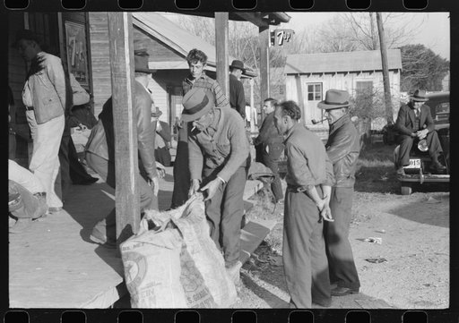 Spanish trappers and fur buyers waiting around while muskrats are being graded during auction sale on porch of community store, St. Bernard, Louisiana