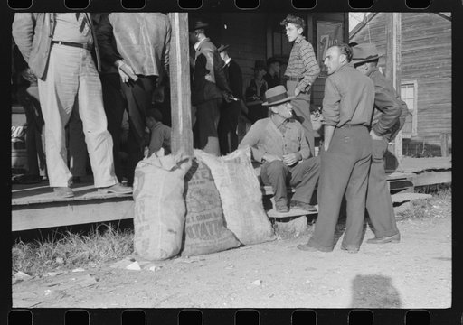 Untitled photo, possibly related to: Spanish trappers and fur buyers waiting around while muskrats are being graded during auction sale on porch of community store, St. Bernard, Louisiana