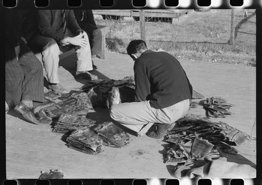 Grading muskrats while fur buyers and Spanish trappers look on, during auction sale on porch of community store in St. Bernard, Louisiana