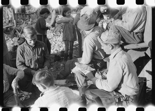Spanish trappers putting the muskrat skins on wire stretchers before hanging them up to dry. By their camp in the marshes near Delacroix Island, Louisiana. See general caption no. 1