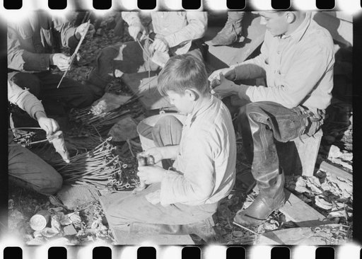 Spanish trappers putting the muskrat skins on wire stretchers before hanging them up to dry. By their camp in the marshes near Delacroix Island, Louisiana. See general caption no. 1