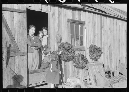 Untitled photo, possibly related to: Spanish trapper's camp home and family with dried muskrat skins hanging in front. In the marshes near Delacroix Island, Louisiana
