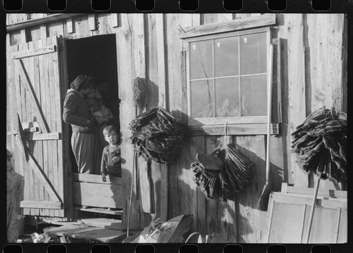 Untitled photo, possibly related to: Spanish trapper's camp home and family with dried muskrat skins hanging in front. In the marshes near Delacroix Island, Louisiana. See general caption no. 1