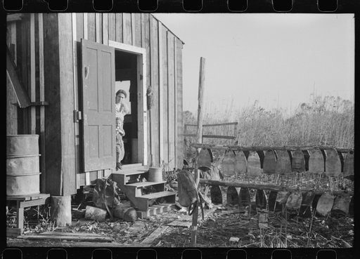 Spanish trapper's wife and child in doorway of their camp.  Stretched muskrat skins drying to the right. In the marshes near Delacroix Island, Louisiana. See general caption no. 1