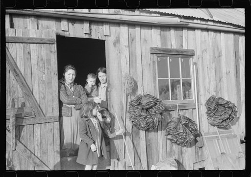 Spanish trapper's camp home and family with dried muskrat skins hanging in front. In the marshes near Delacroix Island, Louisiana