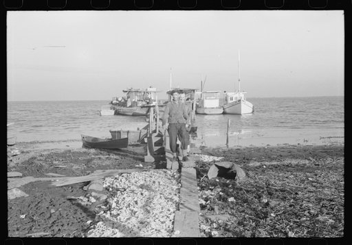 Untitled photo, possibly related to: Spanish trappers wringing muskrats in shed on dock near their camp in the marshes near Delacroix Island, Louisiana