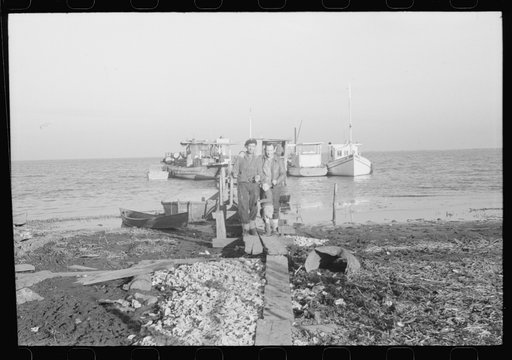 Untitled photo, possibly related to: Spanish trappers wringing muskrats in shed on dock near their camp in the marshes near Delacroix Island, Louisiana