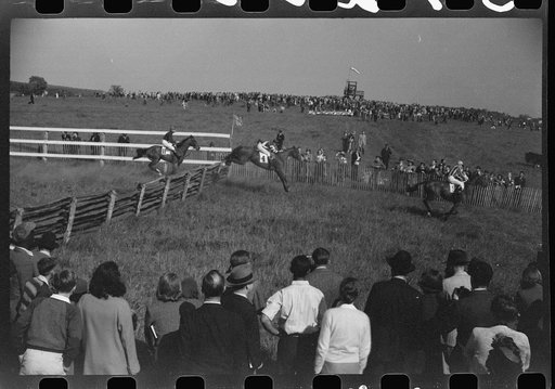 Horse races, Warrenton, Virginia
