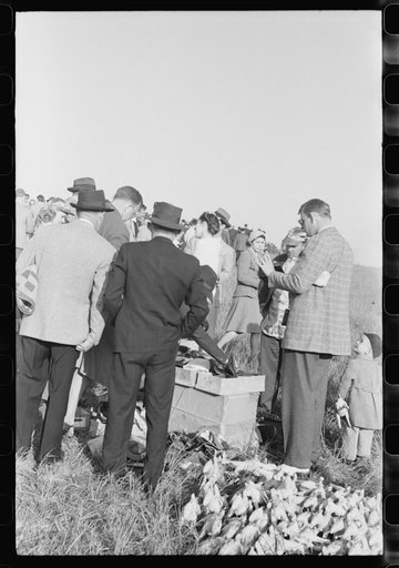 Untitled photo, possibly related to: Spectators at horse races, Warrenton, Virginia