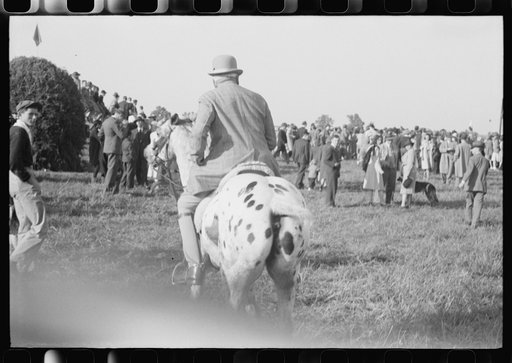 Untitled photo, possibly related to: Judge at horse races, Warrenton, Virginia
