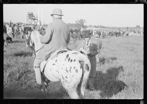Judge at horse races, Warrenton, Virginia