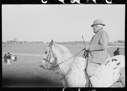 Untitled photo, possibly related to: Judge at horse races, Warrenton, Virginia