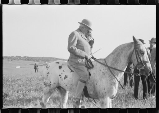 Untitled photo, possibly related to: Judge at horse races, Warrenton, Virginia
