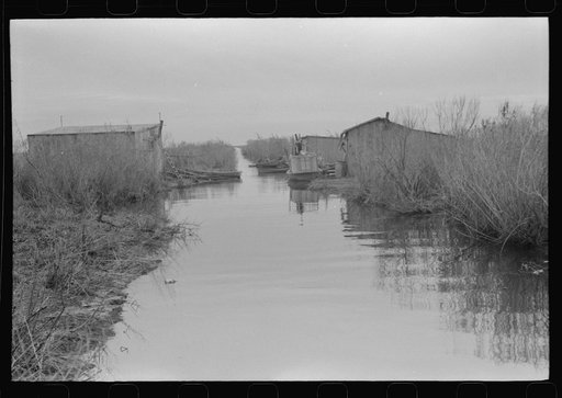 Untitled photo, possibly related to: Spanish muskrat trappers' camp near Delacroix Island, Louisiana