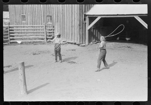 Dudes learning how to throw a rope, "roping" during a ranch rodeo contest. Brewster Arnold Quarter Circle U Ranch, Birney, Montana