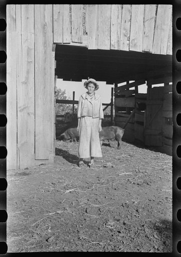 Untitled photo, possibly related to: Dora Mae Tengle, Hale County, Alabama