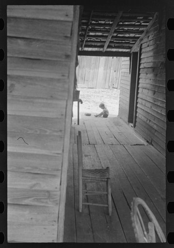 Dog run of Floyd Burroughs' home. Hale County, Alabama