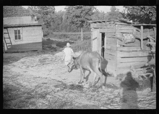Squeakie Burroughs and friend, Hale County, Alabama
