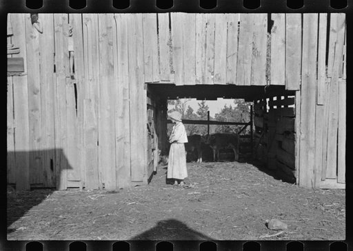Untitled photo, possibly related to: Dora Mae Tengle, sharecropper's daughter, Hale County, Alabama