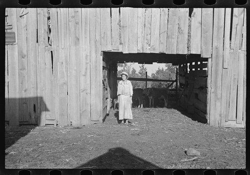 Untitled photo, possibly related to: Dora Mae Tengle, sharecropper's daughter, Hale County, Alabama