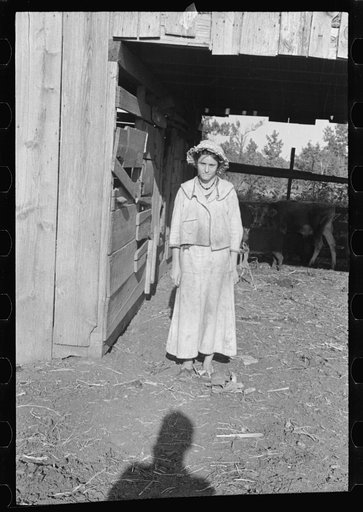 Untitled photo, possibly related to: Dora Mae Tengle, sharecropper's daughter, Hale County, Alabama