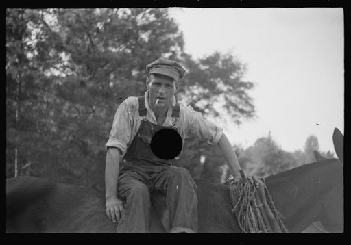 Floyd Burroughs, on mule, Hale County, Alabama