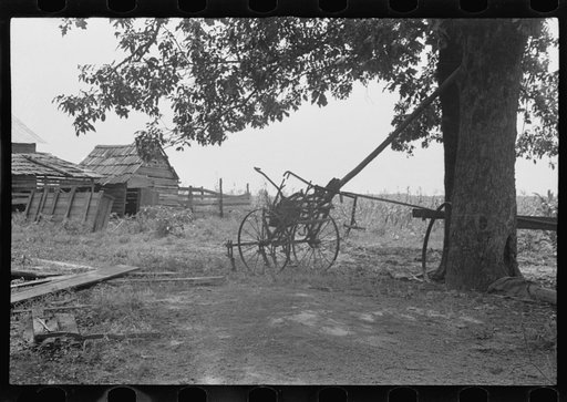 A sharecropper's yard, Hale County, Alabama