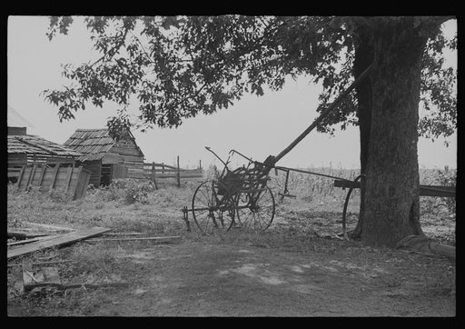 Untitled photo, possibly related to: A sharecropper's yard, Hale County, Alabama