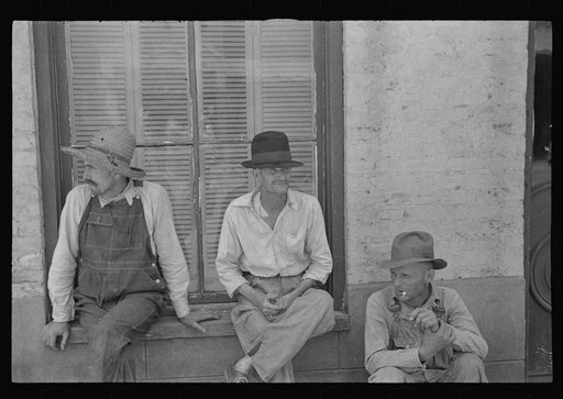 Frank Tengle, Bud Fields, and Floyd Burroughs, cotton sharecroppers, Hale County, Alabama