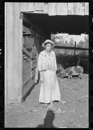 Untitled photo, possibly related to: Dora Mae Tengle, Hale County, Alabama