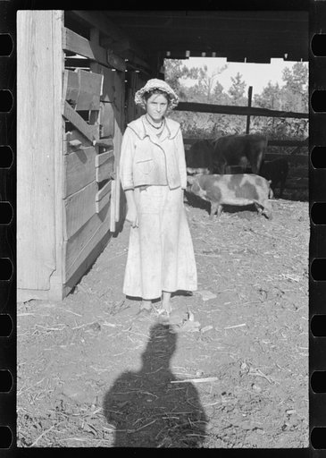 Untitled photo, possibly related to: Dora Mae Tengle, Hale County, Alabama