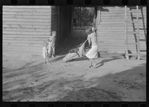 Untitled photo, possibly related to: Burroughs children playing in the yard, Hale County, Alabama