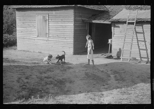 Untitled photo, possibly related to: Burroughs children playing in the yard, Hale County, Alabama