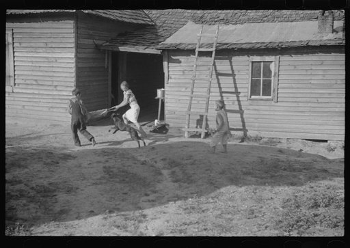 Untitled photo, possibly related to: Burroughs children playing in the yard, Hale County, Alabama