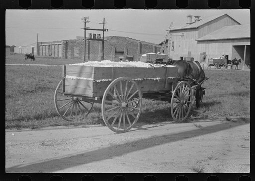 Wagonload of cotton near the gin. Vicinity of Moundville, Alabama
