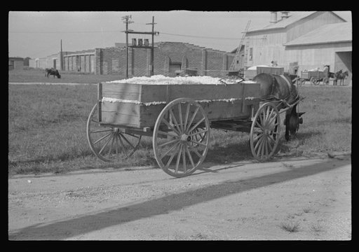 Untitled photo, possibly related to: Wagonload of cotton near the gin. Vicinity of Moundville, Alabama
