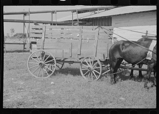 Untitled photo, possibly related to: At the cotton gin. Cotton gin and wagons. Hale County, Alabama