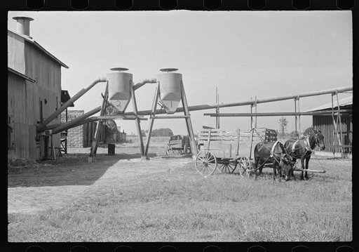 Untitled photo, possibly related to: Cotton gin and wagons. Vicinity of Moundville, Alabama