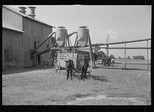 Cotton gin and wagons. Vicinity of Moundville, Alabama