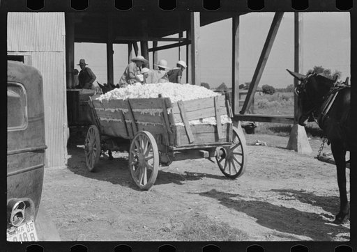 At the cotton gin. Cotton gin and wagons. Hale County, Alabama