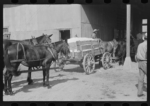At the cotton gin. Cotton gin and wagons. Hale County, Alabama