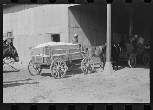 Untitled photo, possibly related to: At the cotton gin. Cotton gin and wagons. Hale County, Alabama