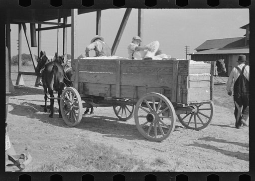 Untitled photo, possibly related to: At the cotton gin. Cotton gin and wagons. Hale County, Alabama