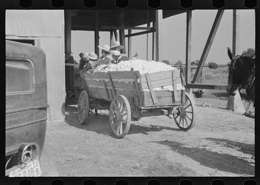 Untitled photo, possibly related to: At the cotton gin. Cotton gin and wagons. Hale County, Alabama